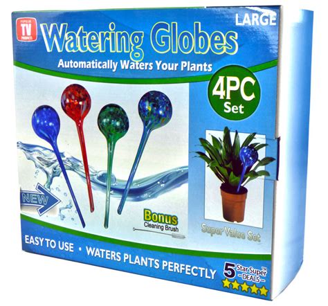 A Step-by-Step Guide to Using Snap Magic Aqua Globes with Different Plants